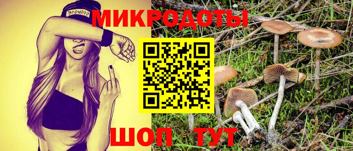 Галлюциногенные грибы GOLDEN TEACHER  Галлюциногенные грибы MAGIC MUSHROOMS  Вход с VPN  Валуйки 